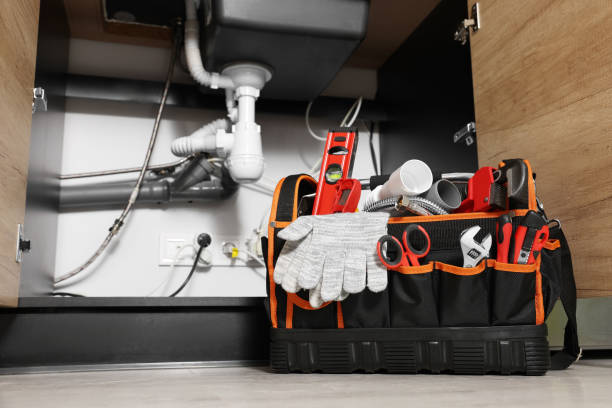 Best Clogged Drain Plumber  in Monroe, WI